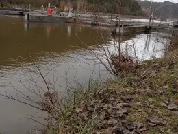 Mosel (Treis-Karden)-1