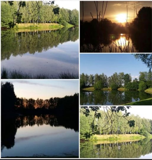 Tongrube an der Beerweinschänke-2