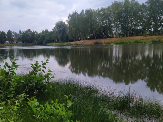 Tongrube an der Beerweinschänke-3