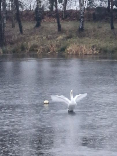 Tongrube an der Beerweinschänke-4