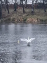 Tongrube an der Beerweinschänke-4