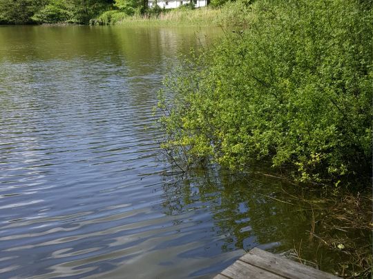 Kleine Tonkuhle (Itzehoe)