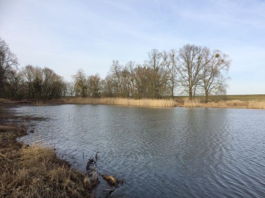 Tiefes Loch (Bleddin)-1