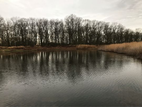 Tiefes Loch (Bleddin)-2