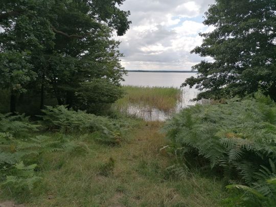 Kleiner Jasmunder Bodden-3