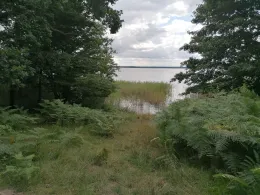 Kleiner Jasmunder Bodden-3