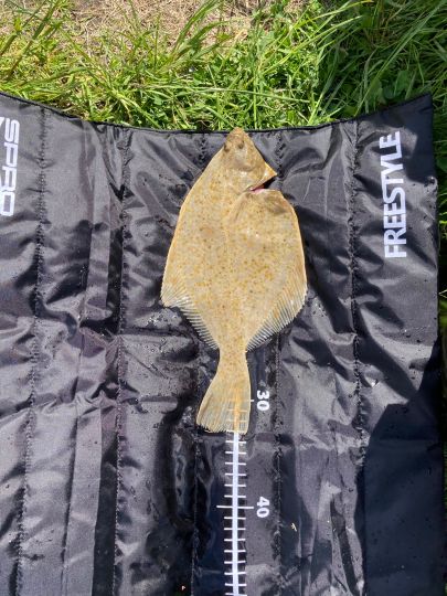 Kleiner Jasmunder Bodden-1