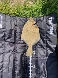 Kleiner Jasmunder Bodden-1