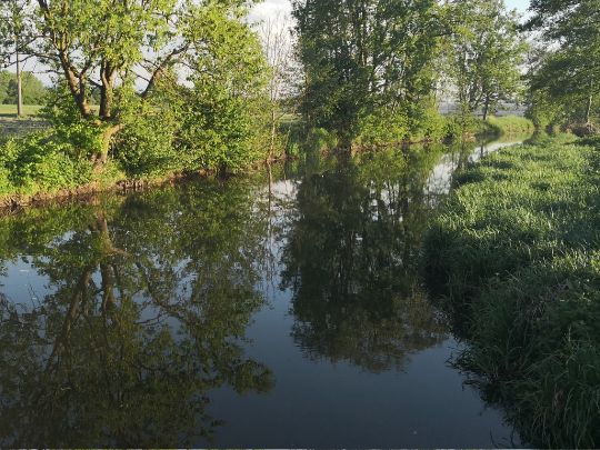 Alte Dreisam