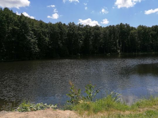 Untere Saukaul (Landsweiler-Reden)-3