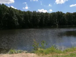 Untere Saukaul (Landsweiler-Reden)-3