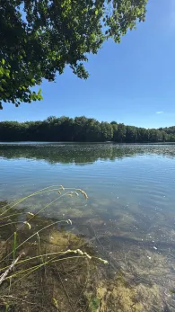 Krummsee (Malente)-3