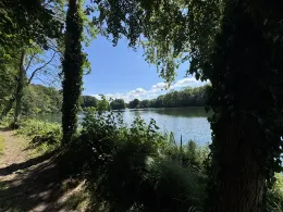 Krummsee (Malente)-1