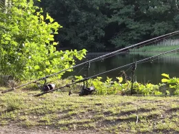Nadelwitzer Teich-4