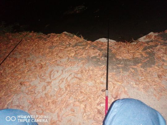 Parkteich Dardesheim