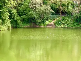 Sternsee (Magdeburg Neu Olvenstedt)-1