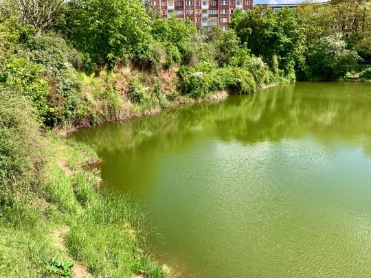 Sternsee (Magdeburg Neu Olvenstedt)-2