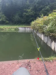 Herschbach (Hottviller)-1