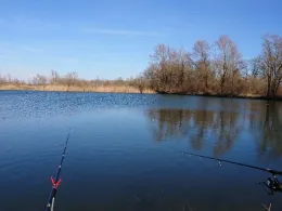 Birkenweiher (Weisingen)