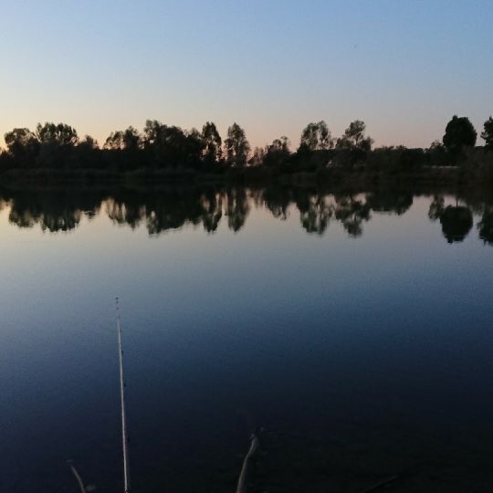 Birkenweiher (Weisingen)-1