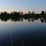 Birkenweiher (Weisingen)-1