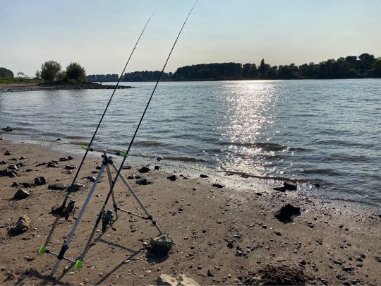 Rhein (Düsseldorf-Benrath)-3