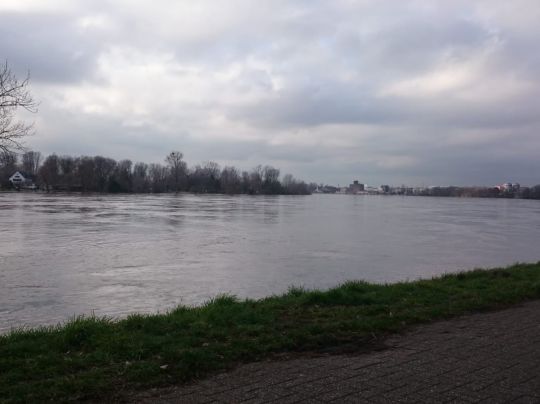 Rhein (Düsseldorf-Benrath)-1