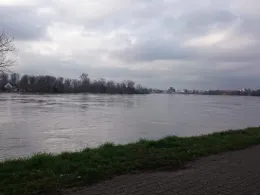 Rhein (Düsseldorf-Benrath)-1