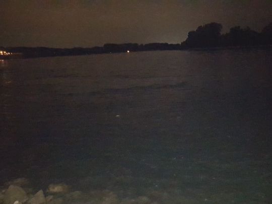 Rhein (Düsseldorf-Benrath)-2