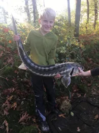 Forellensee Wild Bijzonder Vissen-3