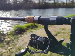 Forellensee Wild Bijzonder Vissen-3