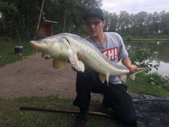 Forellensee Wild Bijzonder Vissen-2