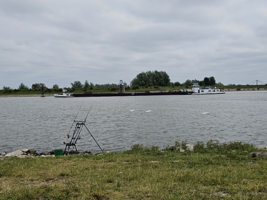 Waal (Tiel)