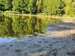 Großer Teich (Drebach)-3