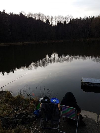 Großer Teich (Drebach) ALLE ANGELN