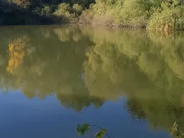 Großer Teich (Drebach)-2