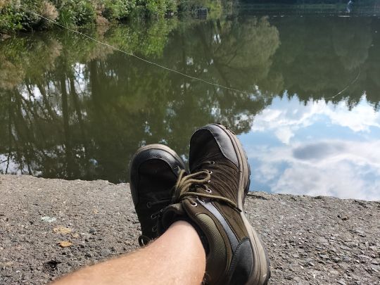Großer Teich (Drebach) ALLE ANGELN