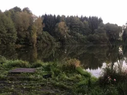 Großer Teich (Drebach)-4