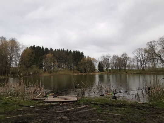 Großer Teich (Drebach) ALLE ANGELN