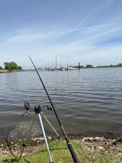 Segelhafen Elsfleth -1