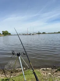 Segelhafen Elsfleth -1