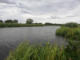 Oude Ijssel (Doetinchem)-2