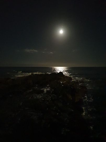 Atlantik (Gran Canaria)-2