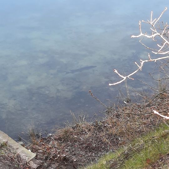 Sandkuhle Driefeler Esch-1