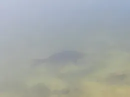 Sandkuhle Driefeler Esch-2