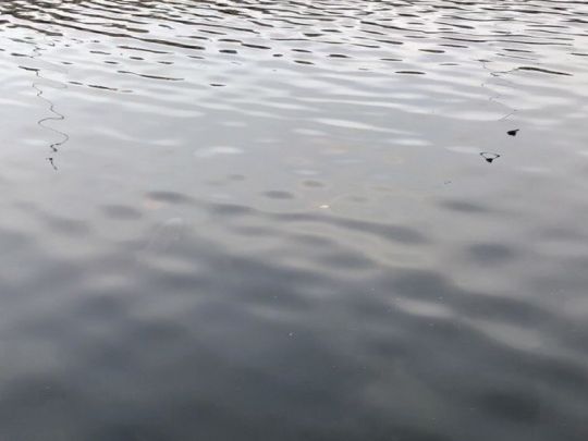 Bassin en de Zuid-Willemsvaart-1