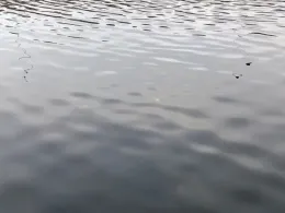 Bassin en de Zuid-Willemsvaart-1