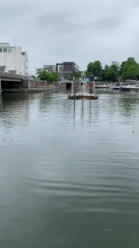 Bassin en de Zuid-Willemsvaart-2