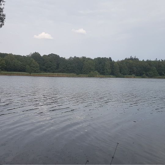 Kronensee (Westerfeld) angeln