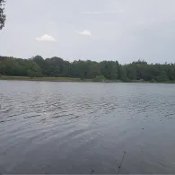 Kronensee (Westerfeld)-1